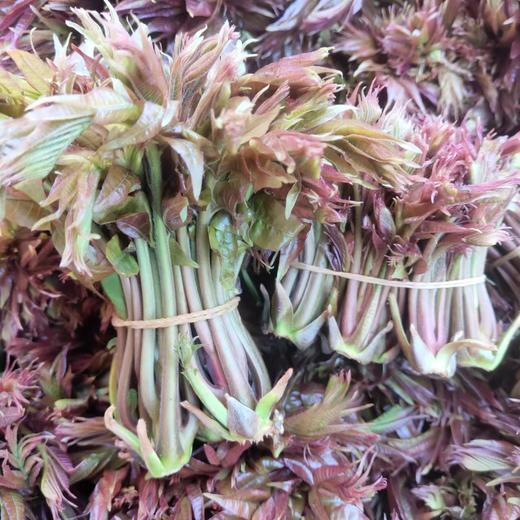 云南梓盟有机甜菜根 有机六无标准应季蔬菜组合【顺丰/京东快递】 商品图10