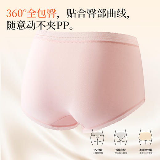 女士长绒棉蕾丝中高腰车缝三角内裤2946 商品图7