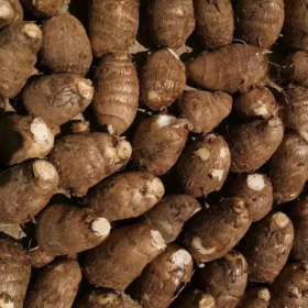 果果家精选老品种芋头 生态自然农法种植新鲜现挖5斤装