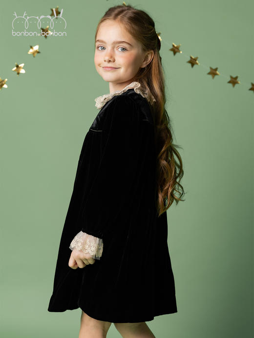 高级丝绒礼服裙 商品图4