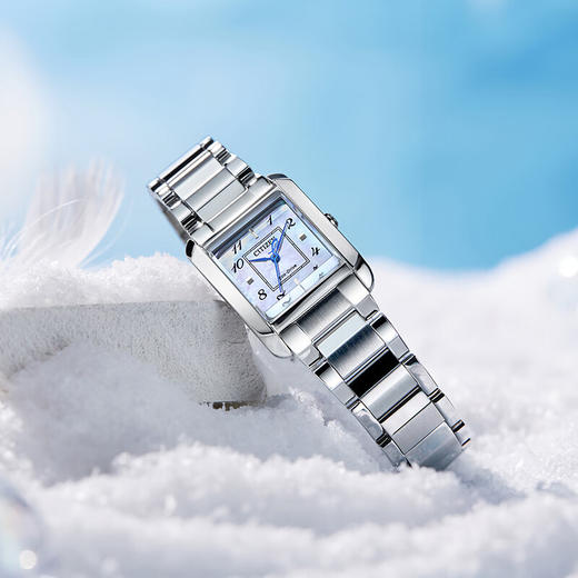 西铁城光动能女EW5600-87D 商品图3