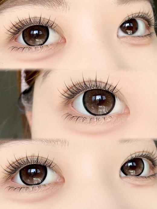 FlowerColor 半年抛 金星织梦 直径14.5mm着色14.5mm 商品图8