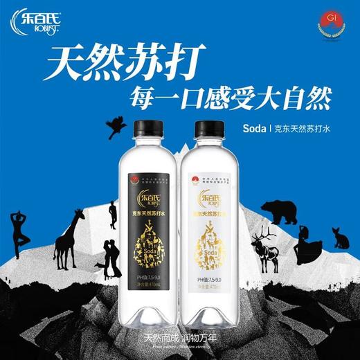 乐百氏克东天然苏打水470ml*15 商品图1