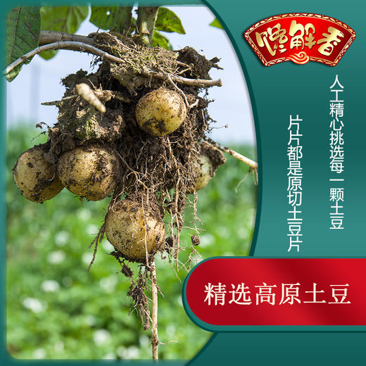 馋解香110克土豆丝/片组合 商品图9