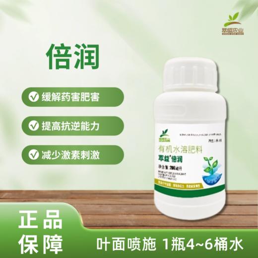 倍润（萃元升级款） 商品图0