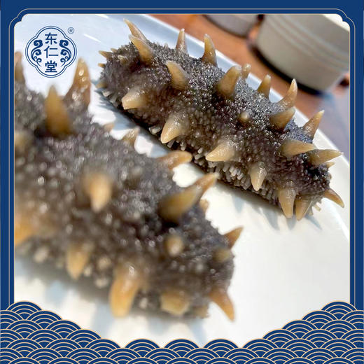 东仁堂即食海参/鲜食海参，远离大陆的底播海参，自然生长，肉质肥厚， 商品图6