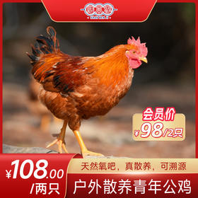 膳本季皖南山林散养【青年公鸡2只装】 无抗养殖认证 SGS国际权威检测 非笼养示范基地 自然生长的慢速鸡
