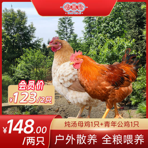 膳本季皖南山林散养【土鸡随心配套餐】 无抗养殖认证 SGS国际权威检测 非笼养示范基地 自然生长的慢速鸡 商品图2