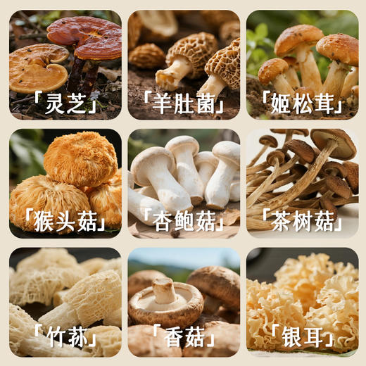 【新品】江中食疗 猴姑一家 每日菌菇饼干900g 高钙 低糖 9种菌菇 2025年9月生产 保质期12个月 商品图4