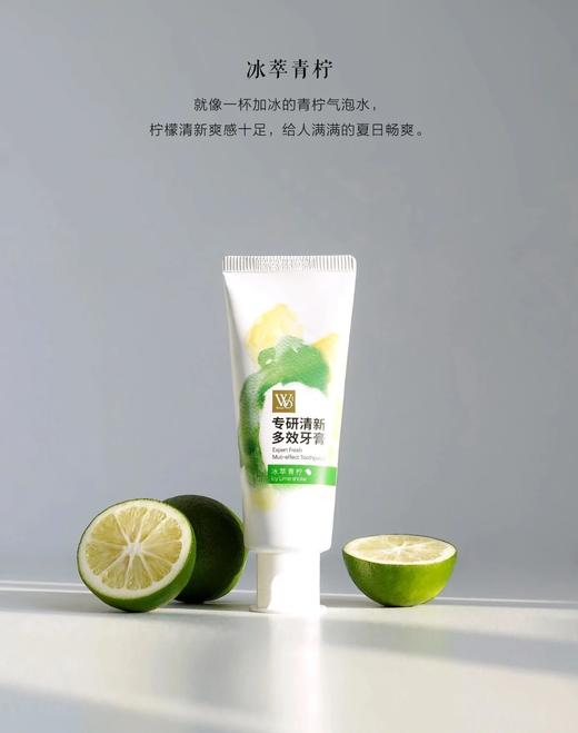 口气清新牙膏 秒杀49.9元到手10支｜华熙生物WO专研清新多效牙膏 玻尿酸牙膏 100g/支 商品图2