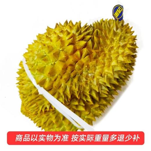 【进群专享】越南金枕榴莲6斤（A级果）多退少补 商品图0