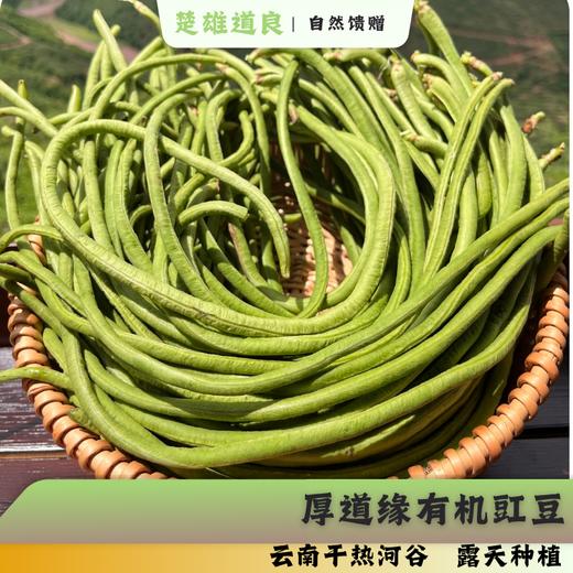 绿康源老品种四季豆  露天有机生态种植新鲜采摘时令蔬菜【顺丰快递】 商品图0