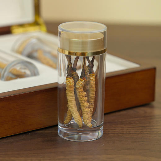 万物本草甄选 纯野生鲜晒高原冬虫夏草 自然晾晒不熏硫 纯野生冬虫夏草 商品图3