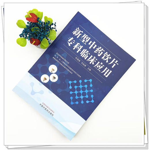 新型中药饮片专科临床应用 何清湖 邓奕辉 介绍常见专科疾病的理法方药 新型中药饮片在临证实践中的配伍使用 中国中医药出版社 商品图2