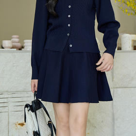 奢姿大码女装2025秋季松紧设计简约时尚A字裙子胖妹妹百搭半身裙9453469910B