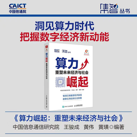算力崛起：重塑未来经济与社会 中国信息通信研究院 数字经济时代新质生产力理论实践指导政策信息技术经济管理专业产业经管书籍