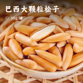 巴西大颗粒松子 | 2025年头茬坚果 长度是普通松子的2倍 壳薄好剥 果仁白嫩饱满 淡盐简单烘焙