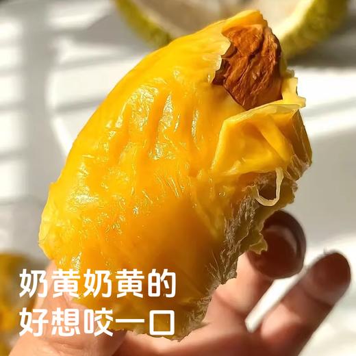 『叻油榴』马来西亚进口黑刺榴莲D200液氮冷冻整果AA级包装精美送礼推荐 商品图3