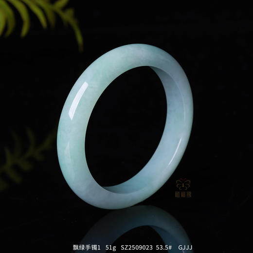 【皎月】飘绿手镯1     SZ2509023 商品图1