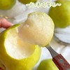 【玉露香梨】中华大美梨，口口爆汁，如饮玉露!皮薄肉厚，梨汁爆多嫩到带皮啃，松脆清甜，老人小孩都能吃，冷藏后口感更像“冰爽梨汁”，健康年货就选这份“会呼吸的甜”！ 商品缩略图7