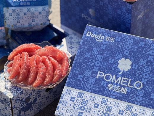 【整车到货】平和红心柚  多乐幸运柚 皮薄肉甜汁水足 每一颗都是精挑细选 包装高端大气 商品图1