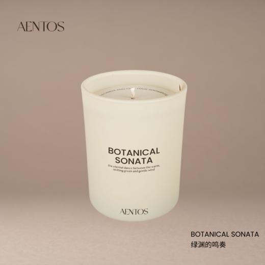 AENTOS情愫之旅度假系列香薰蜡烛200g 商品图3