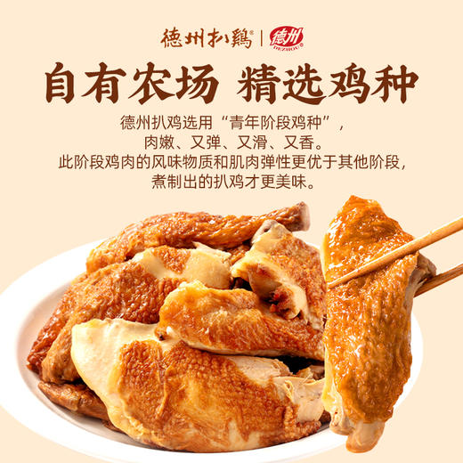 【鲜扒鸡】气调传承1956扒鸡 五香/熏香/藤椒/板腊任选 单只/2只装 顺丰包邮 不接受7天无理由退货拒收 商品图8