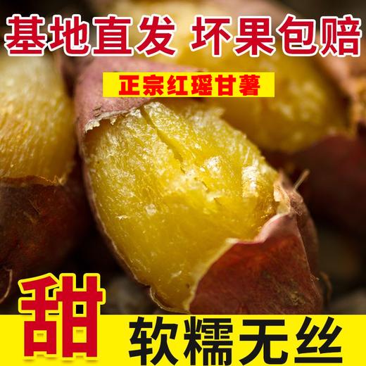 25年宁河红瑶甘薯 商品图7