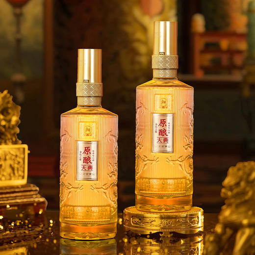 泸州老窖出品 原酿天典 52度浓香型白酒 送礼自饮500ml*2瓶礼盒装 商品图4