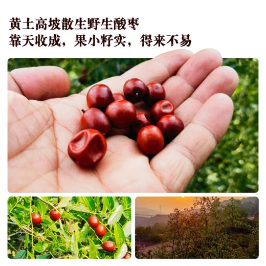 野生酸枣仁膏140G/瓶丨十二小时柴火慢熬 商品图1