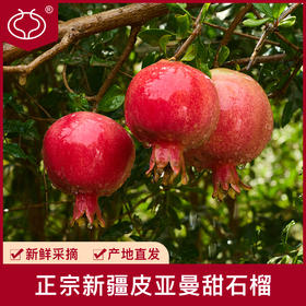 【新疆好物】新疆皮亚曼甜石榴 皮亚县特产 粒大多汁 硬籽石榴
