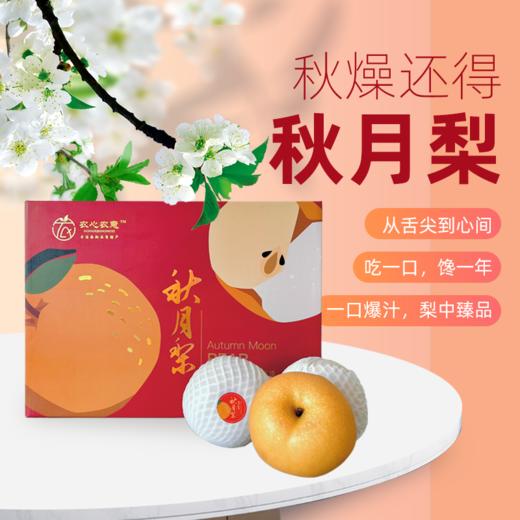 农心农意秋月梨梨中臻品细腻无渣，补水又润燥加赠中秋礼袋 商品图0