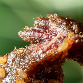食味的初相牛肉条|五香味/藤椒味，先甜后辣，肉质紧实有嚼劲