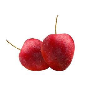 香槟果（约500G） /份