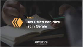 2025德语新闻阅读课第一期第19讲（MP3）