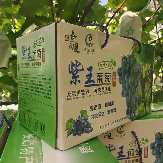 长顺四宝·紫王葡萄5斤(含箱)【GY】 商品图8