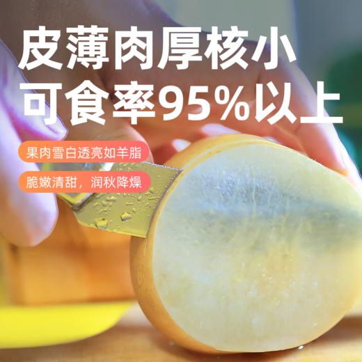 农心农意秋月梨梨中臻品细腻无渣，补水又润燥加赠中秋礼袋 商品图2