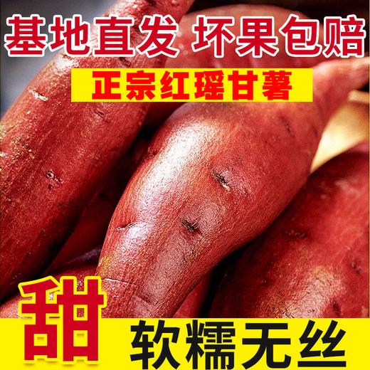 25年宁河红瑶甘薯 商品图3
