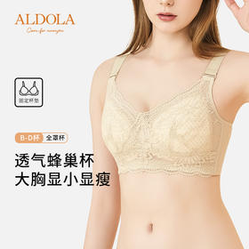 雅黛俪全罩杯内衣女大胸显小显瘦文胸蕾丝透气蜂巢杯收副乳防下垂