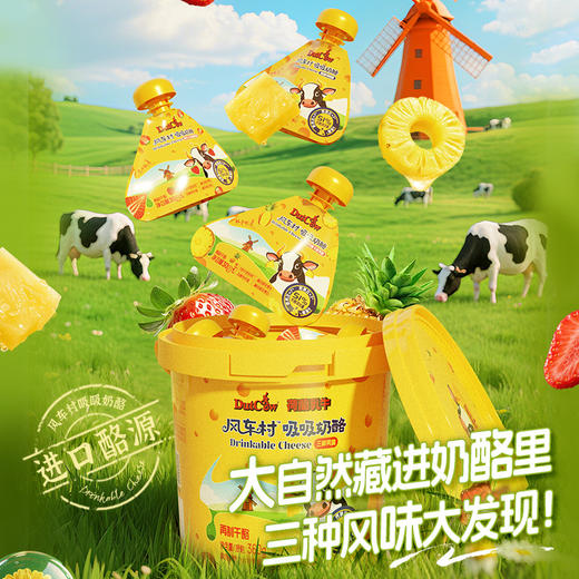 SY【限时秒杀】荷兰乳牛吸吸奶酪360g桶  51%奶酪三种风味组合 商品图12