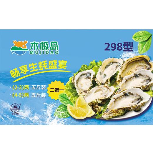 木极岛生蚝礼品卡生蚝298型 （二选一）【提货卡】 商品图0