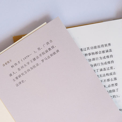 罗马法与欧洲：一种法律文化的历史 彼得·斯坦因 北京大学出版社 商品图3