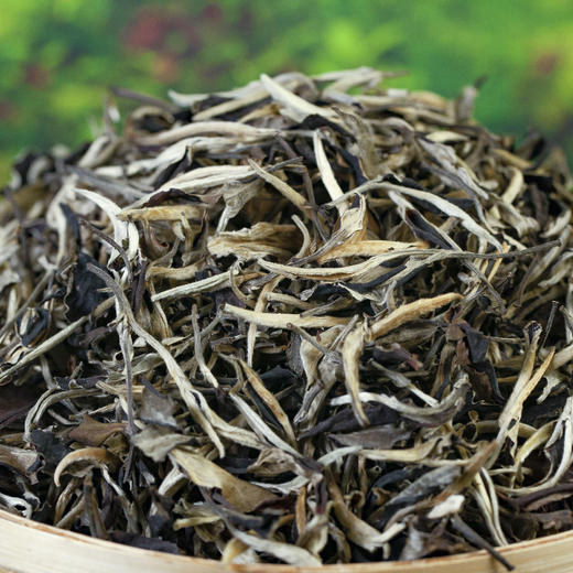 云南古树白茶月光白散茶叶白毫银针2025春茶500g批发 商品图3