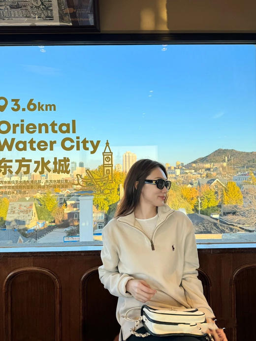 男女同款拉夫原单刺绣战马半拉链卫衣 商品图8