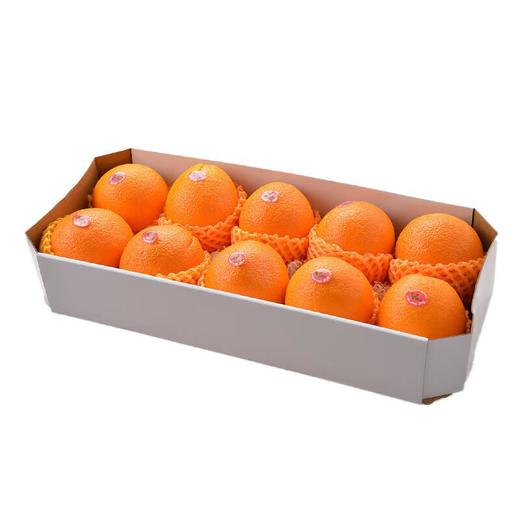 澳洲红肉橙礼盒  约2.5kg/盒 橙子 商品图2