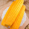 东北糯玉米200g*8支 商品缩略图2
