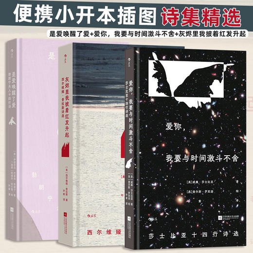 便携小开本插图诗集精选：3册套装 商品图0