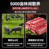 【原切猪肋排/猪油边】  真正的跑山猪 肉质紧实更健康 商品缩略图1