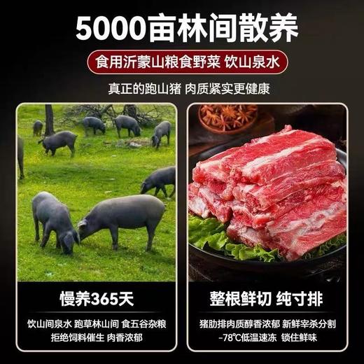 【原切猪肋排/猪油边】  真正的跑山猪 肉质紧实更健康 商品图1