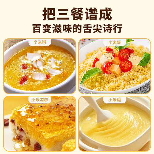 雁门清高沁州黄小米500g山西特产小米 商品图5